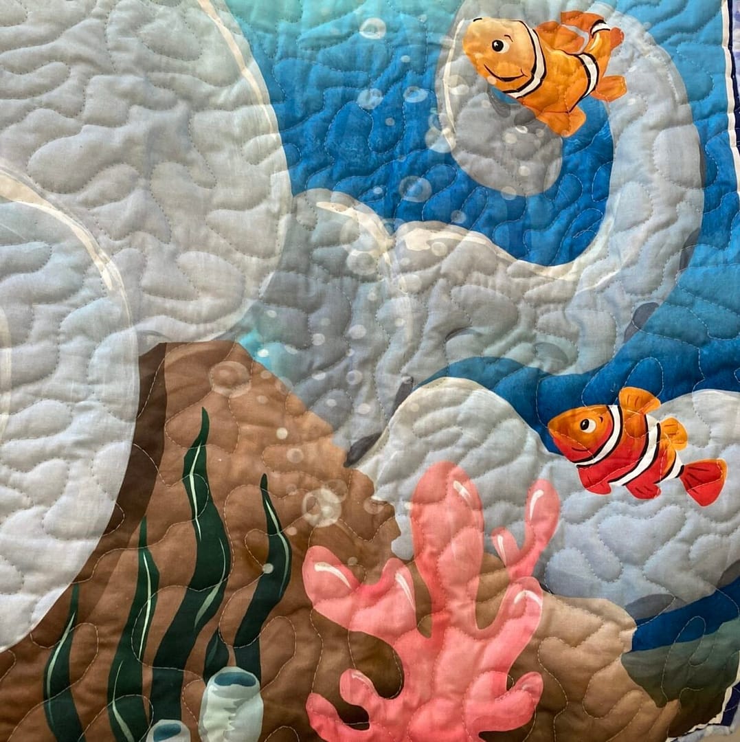 Underwater Adventure coral closeup