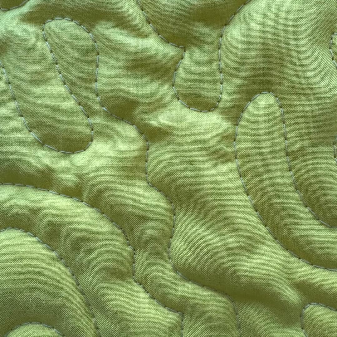 Savannah Symphony Baby Quilt detail f