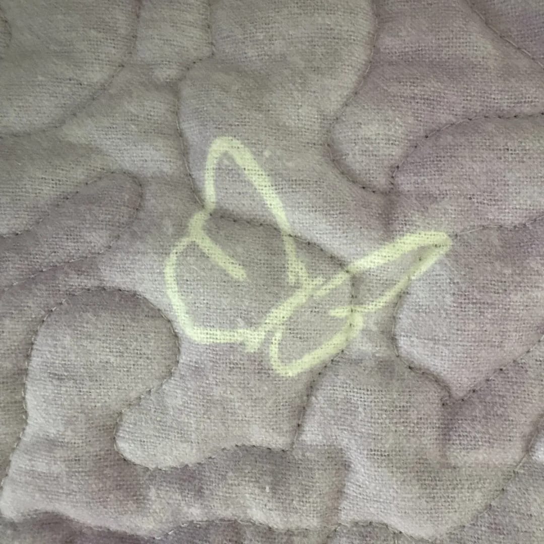 Butterfly Patches baby Quilt detail 2