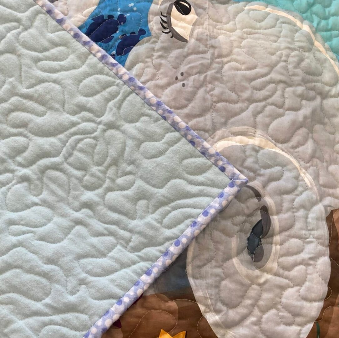 Underwater Adventure Quilt with backing