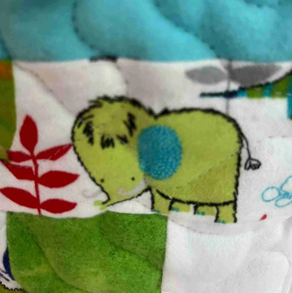 Prehistoric Pals Baby Quilt detail
