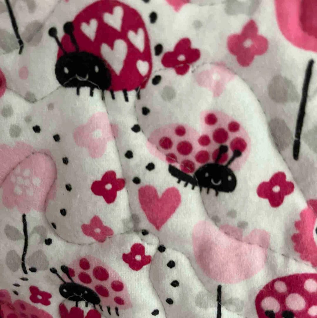 Lady Bug Baby Quilt detail 3