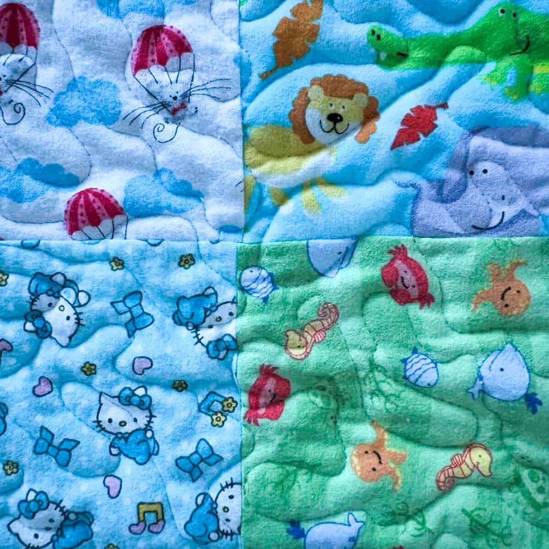 new animal i spy detail 1