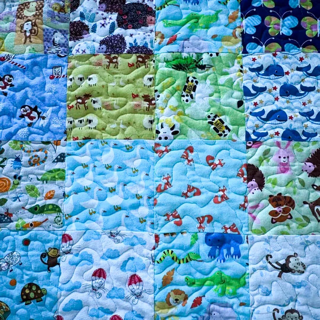 new animal i spy detail 3
