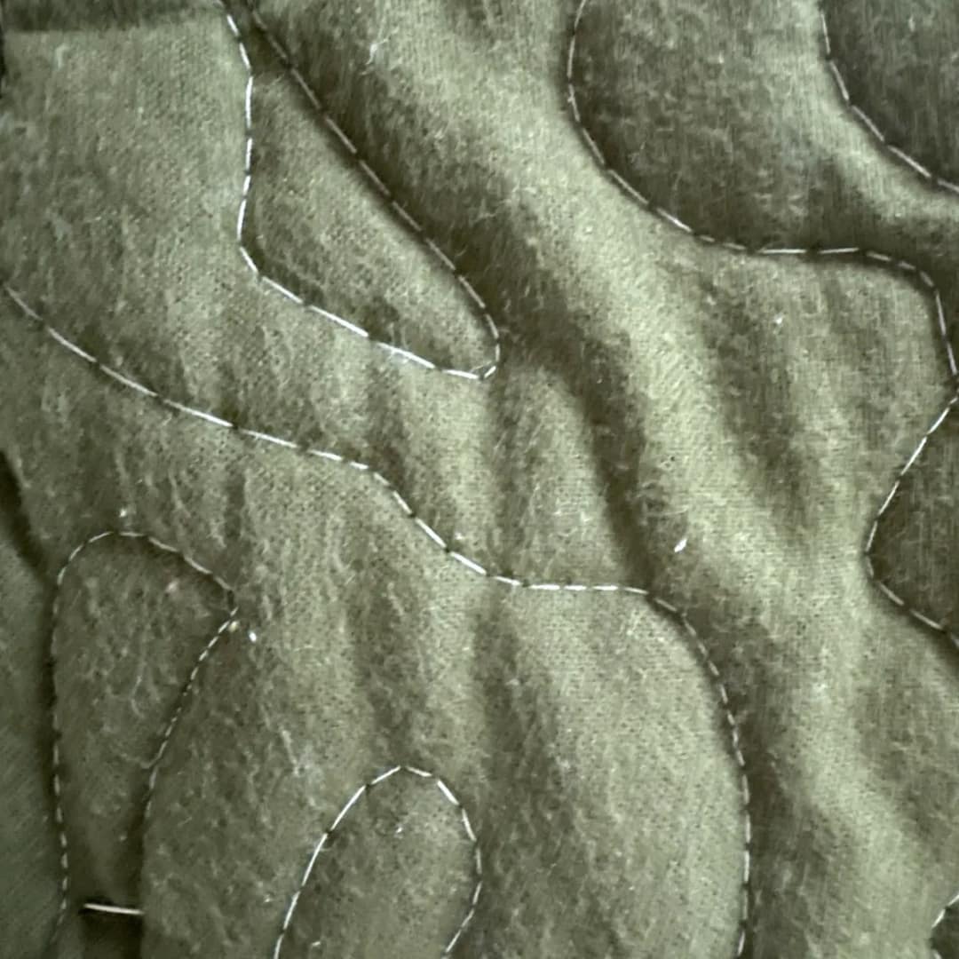 World of Dinosaurs Baby Quilt detail 3