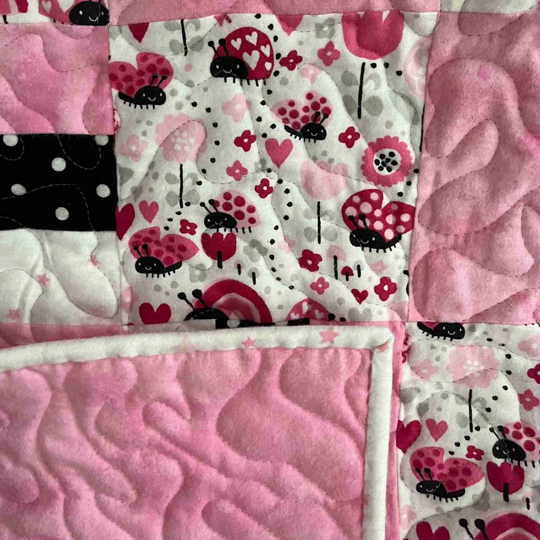 Lady Bug Baby Quilt detail 1