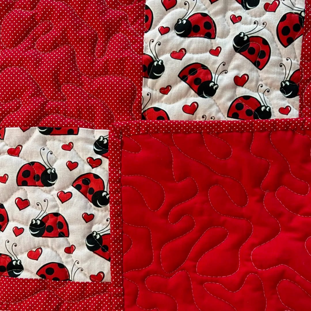 Ladybug-Love-Detail-1