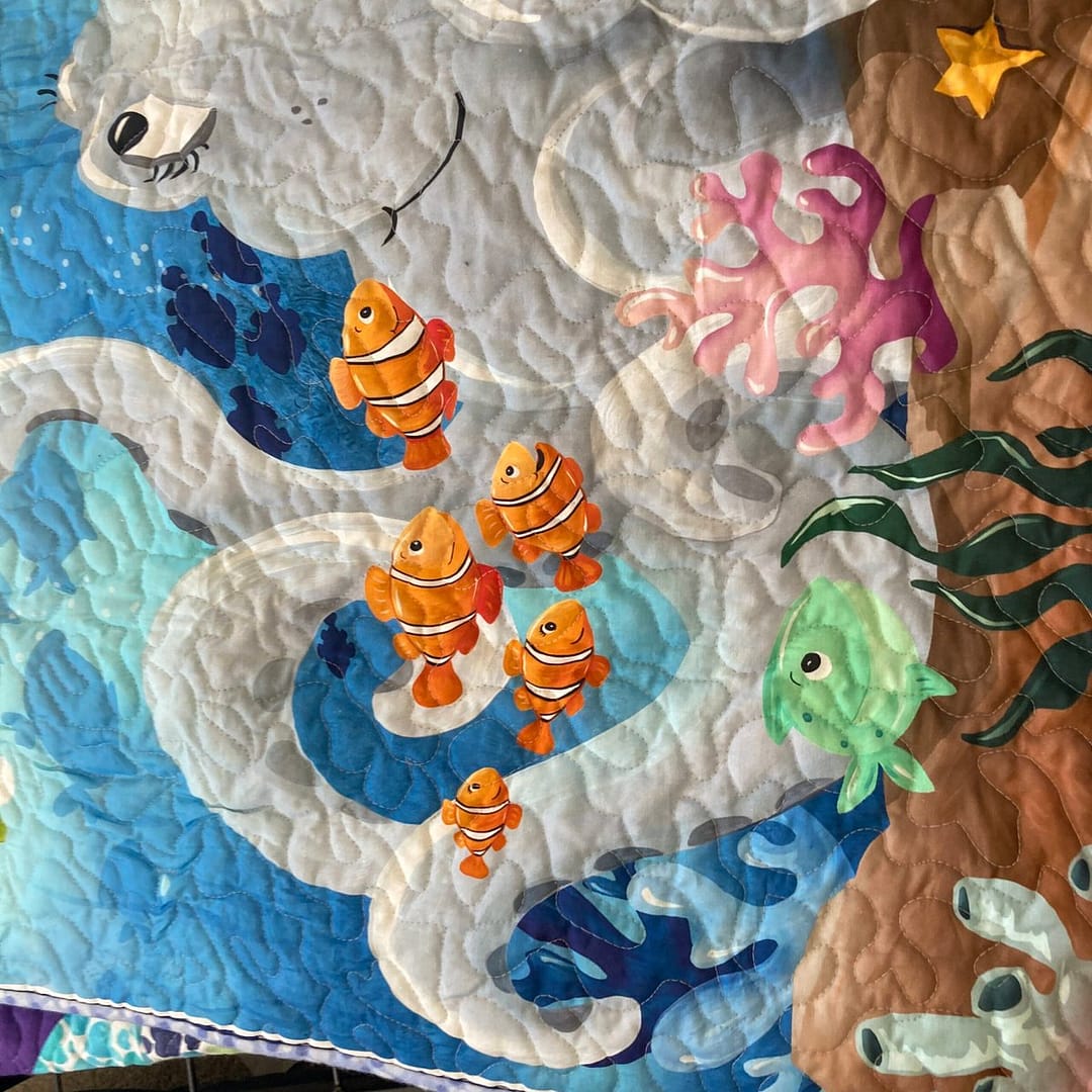 Underwater Adventure with clown fish