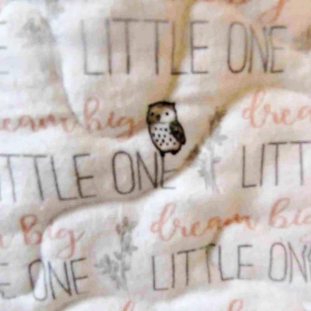 Giraffe Quilt for Baby Detail with Owl