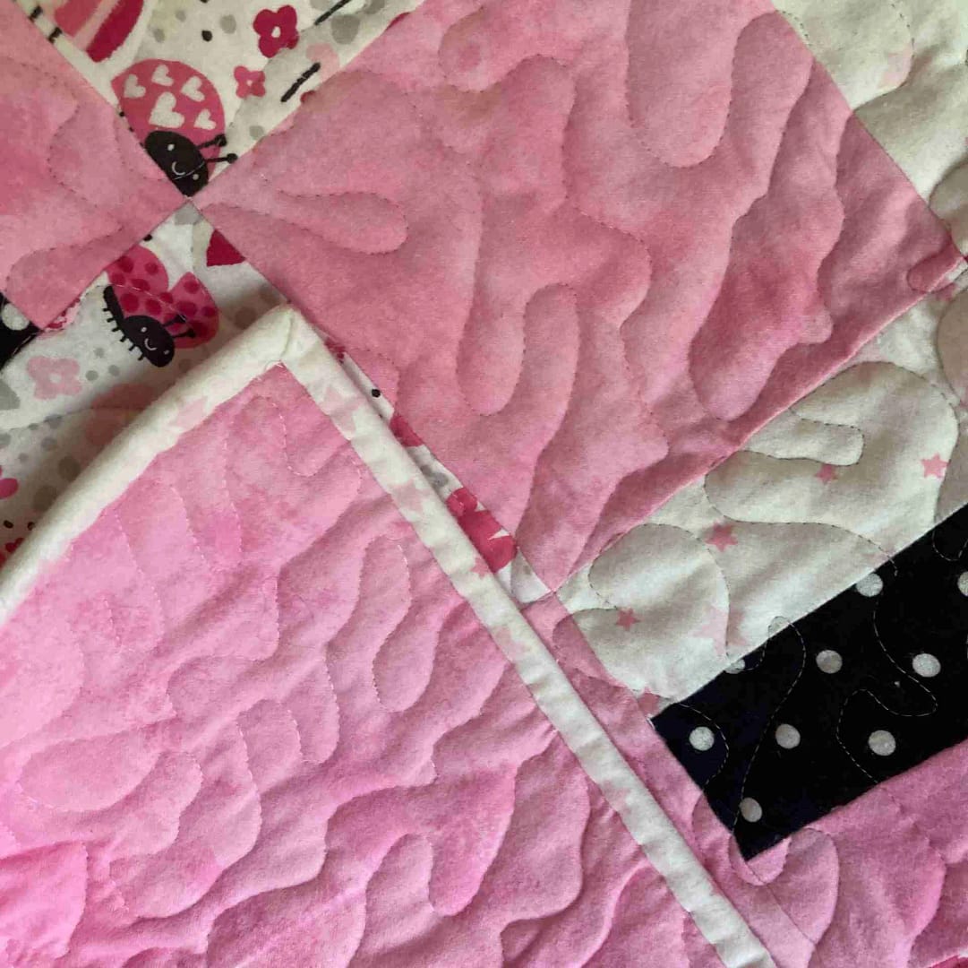 Lady Bug Baby Quilt detail 5